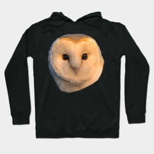 Barn Owl Face Hoodie